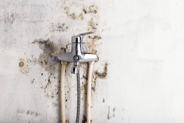 Bennettsville, SC Mold Remediation Company