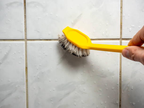 Best Preventive Mold Services in Bennettsville, SC
