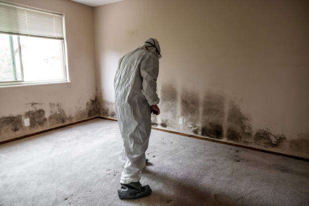 Best Residential Mold Remediation in Bennettsville, SC
